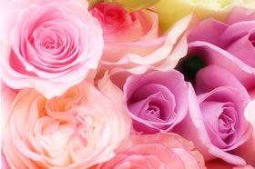 blp-blog-672